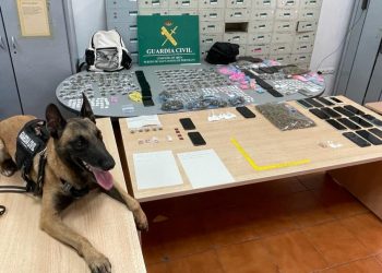 La unidad canina junto a la droga, el dinero y los móviles encontrados en el piso de Sant Antoni por parte de la Guardia Civil. Foto Guardia Civil