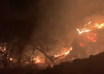 Imagen del vídeo del incendio captado por los bomberos del Parque Insular.