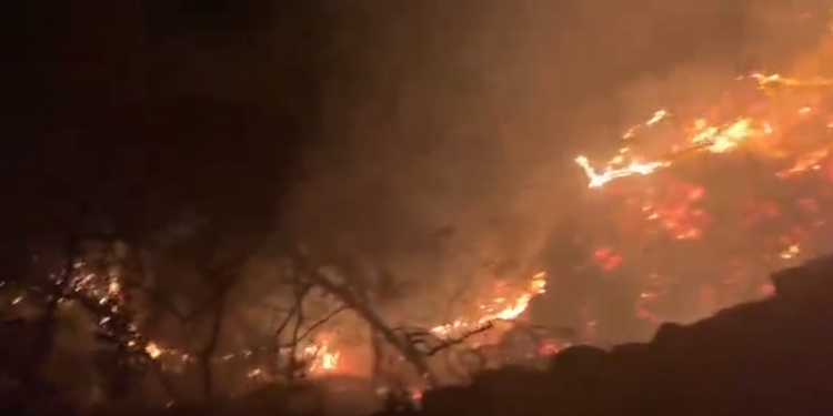 Imagen del vídeo del incendio captado por los bomberos del Parque Insular.