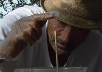 Fotograma de Du vin dans les voiles de Xavi Herrero.