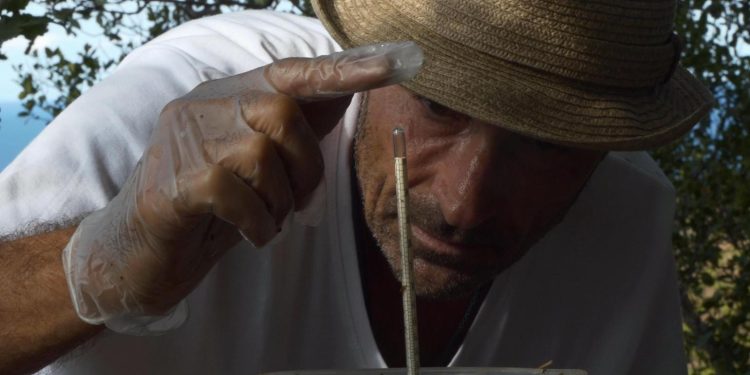 Fotograma de Du vin dans les voiles de Xavi Herrero.