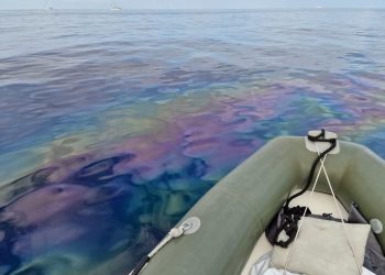 Imagen de la mancha localizada hoy. Foto: Wietske Hoekstra