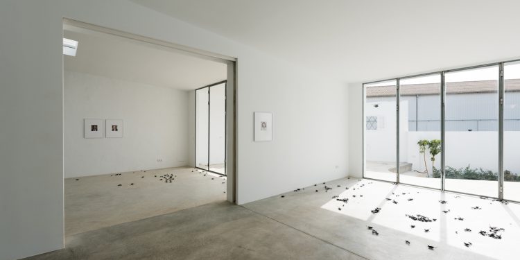 Imagen de la exposición. Foto: Fundación Ses Dotze Naus