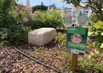 Imagen de un santuario para lagartijas, con un cartel que lo identifica.