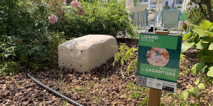 Imagen de un santuario para lagartijas, con un cartel que lo identifica.