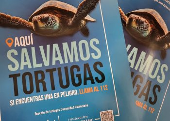 Cartel de la campaña. Foto: Consell Insular de Formentera