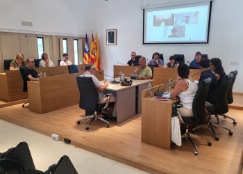 Ple del Consell Insular de Formentera, celebrat avui. Foto: Consell Insular de Formentera