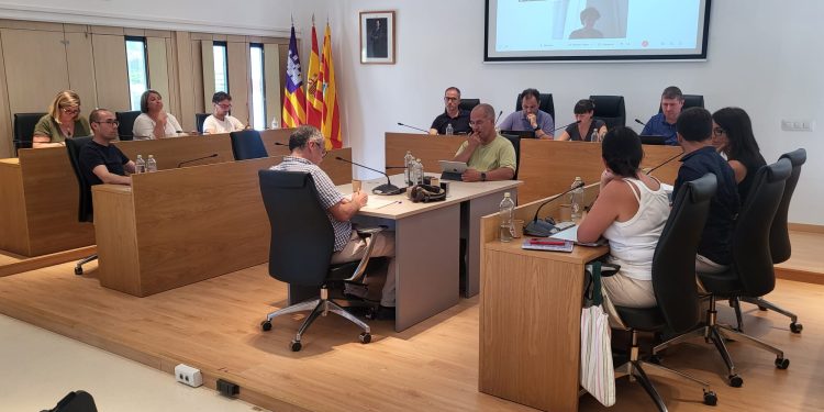 Ple del Consell Insular de Formentera, celebrat avui. Foto: Consell Insular de Formentera