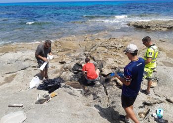 Trabajadores de Gestión Ambiental y de Litoral han limpiado el vertido provocado por el bidón. Fotos: Consell Insular de Formentera