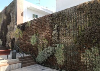 Imagen aportada por el PSOE sobre es estado actual del jardín vertical de Santa Eulària