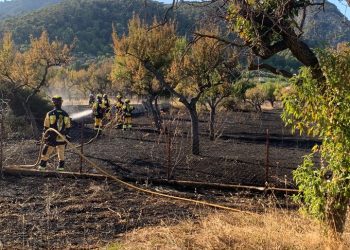 Agentes del Ibanat sofocan uno de los incendios agrícolas provocados en la carretera de Selva a Caimari. Foto: Ibanat