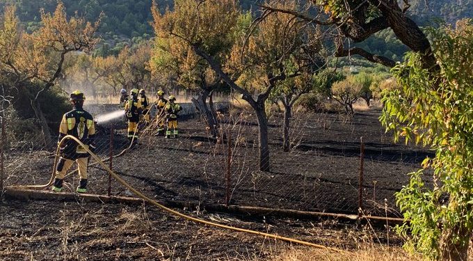 Agentes del Ibanat sofocan uno de los incendios agrícolas provocados en la carretera de Selva a Caimari. Foto: Ibanat