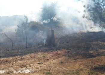 Imagen de archivo de una zona forestal quemada tras un incendio. Foto: Ibanat