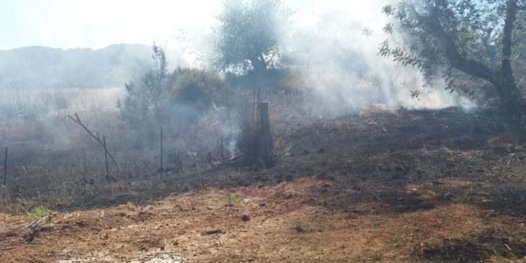 Imagen de archivo de una zona forestal quemada tras un incendio. Foto: Ibanat