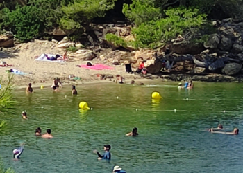 Aguas verdosas en Port des Torrent, en una imagen facilitada por el Grupo socialista del municipio de Sant Josep.