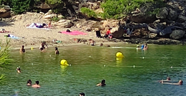 Aguas verdosas en Port des Torrent, en una imagen facilitada por el Grupo socialista del municipio de Sant Josep.