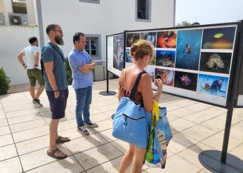 La inauguración de la exposición ha tenido lugar esta mañana. Foto: Consell Insular de Formentera