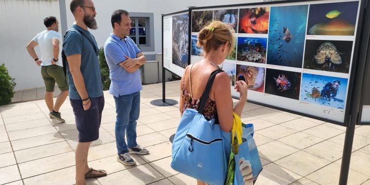 La inauguración de la exposición ha tenido lugar esta mañana. Foto: Consell Insular de Formentera