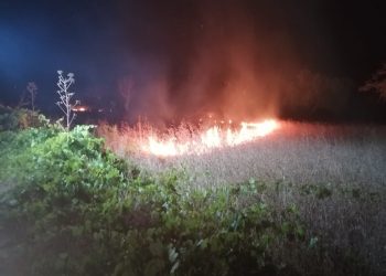 Incendio forestal declarado en la zona de Santa Eulària el pasado 9 de julio. Foto: Ibanat