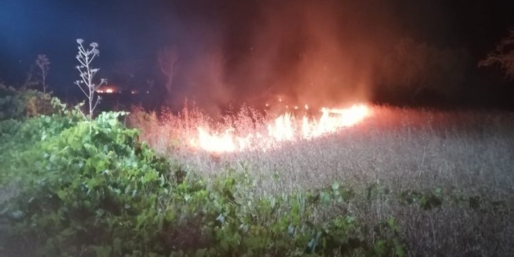 Incendio forestal declarado en la zona de Santa Eulària el pasado 9 de julio. Foto: Ibanat