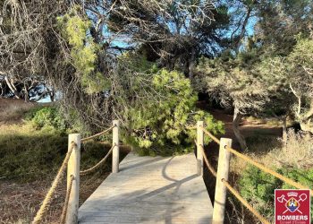 La rama sobre la pasarela de madera, en una imagen de Bombers d'Eivissa