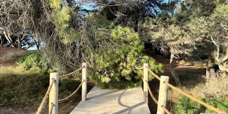 La rama sobre la pasarela de madera, en una imagen de Bombers d'Eivissa