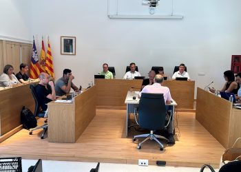Pleno celebrado hoy. Foto: Consell Insular de Formentera