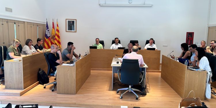 Pleno celebrado hoy. Foto: Consell Insular de Formentera