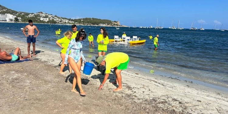 Un momento de una de las jornadas de limpieza. Fotos: Club Náutico Ibiza