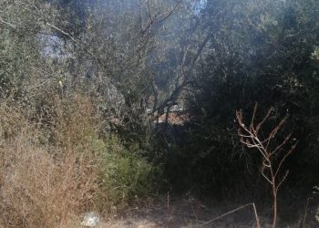 Los bomberos y los brigadistas del Ibanat han extinguido el fuego. Foto: Ibanat