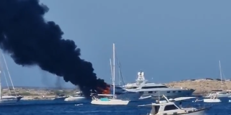 Imagen del vídeo grabado por Pedro Porto