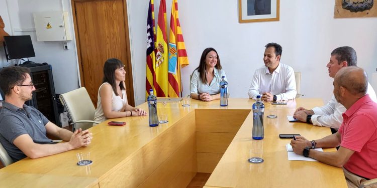 Marta Vidal, en el centro de la imagen junto al presidente en la sala de plenos.