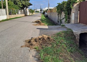 Restes de vegetació i altres materials a la calçada, al costat de la sèquia. Fotos: Grup municipal Socialista de Santa Eulària