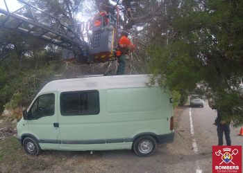 Los bomberos han cortado el árbol caído y lo han retirado. Foto: Bombers d'Eivissa