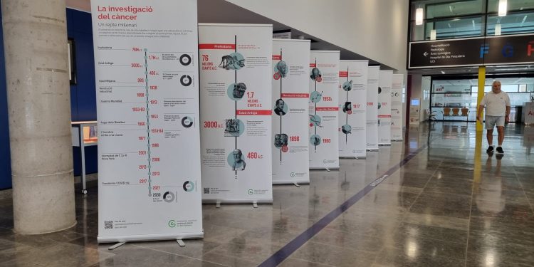 Exposición 'La investigación en cáncer, un reto milenario'. Foto: Área de Salud de Ibiza y Formentera