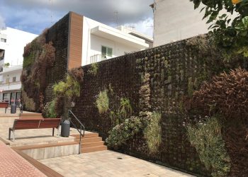 Estado que presenta el jardín vertical. Fotos: PSOE de Santa Eulària