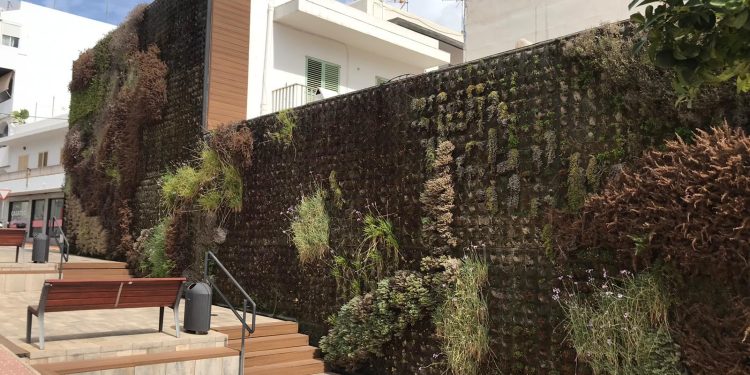 Estado que presenta el jardín vertical. Fotos: PSOE de Santa Eulària