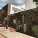 Estado que presenta el jardín vertical. Fotos: PSOE de Santa Eulària