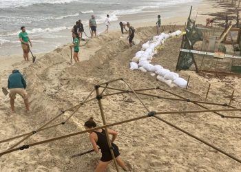 Línea de contención creada con sacos de arena y  tablones para evitar el oleaje. Fotos: Govern balear