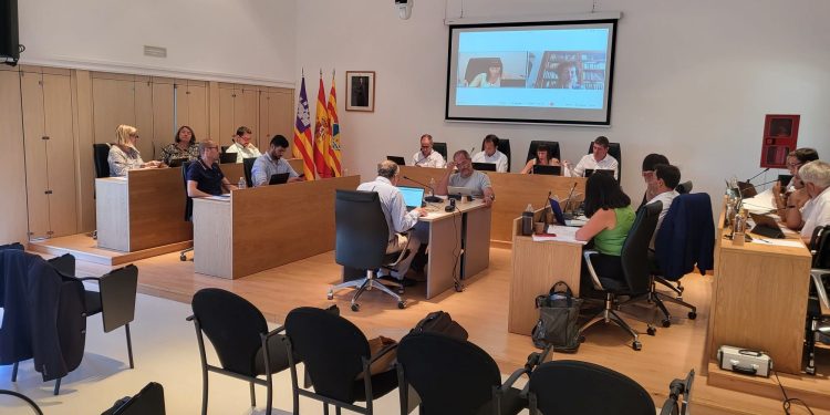 Imagte del ple celebrat avui. Foto: Consell Insular de Formentera