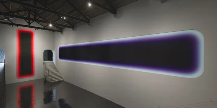 Instalación de Jonny Niesche en La  Nave de Ses Salines.