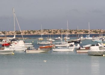 Imagen de archivo de l'estany des Peix. Foto: Radio illa.