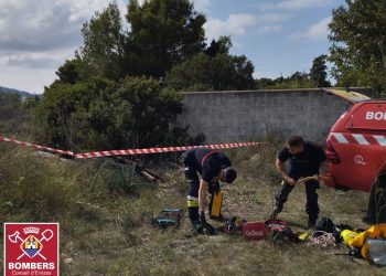 Un momento de la operación de rescate del animal. Imagen Bombers d'Eivissa