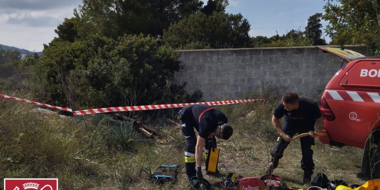 Un momento de la operación de rescate del animal. Imagen Bombers d'Eivissa