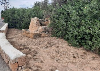Pou Roig de Sant Jordi. Foto: Ara Eivissa