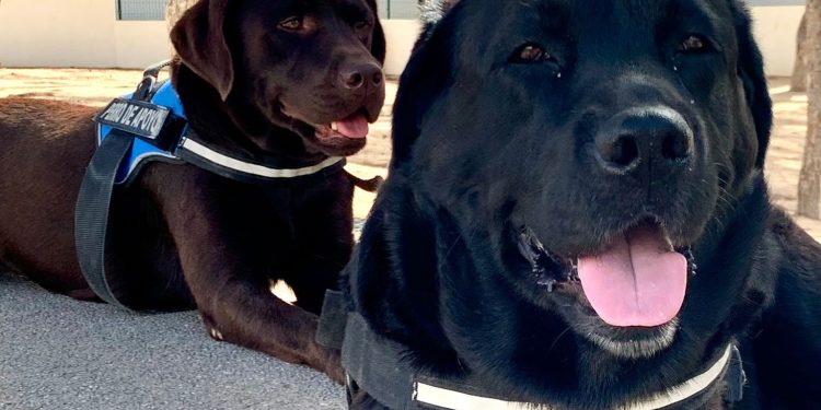 Nara y Nica. Foto: Ayuntamiento de Sant Josep