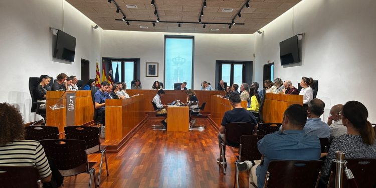 Pleno del Ayuntamiento