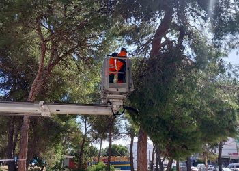 Intervención de los bomberos en la avenida de Cala Nova. Fotos de esta información: Bombers d'Eivissa