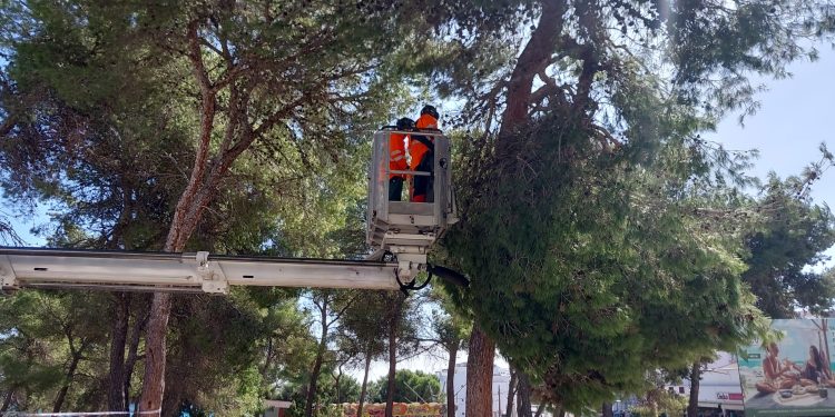 Intervención de los bomberos en la avenida de Cala Nova. Fotos de esta información: Bombers d'Eivissa