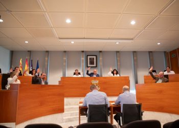 Imagen de archivo de un pleno del Consell de Ibiza.